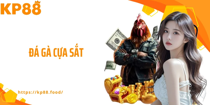 Đá gà cựa sắt