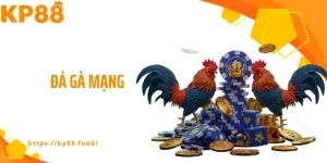 Đá gà mạng