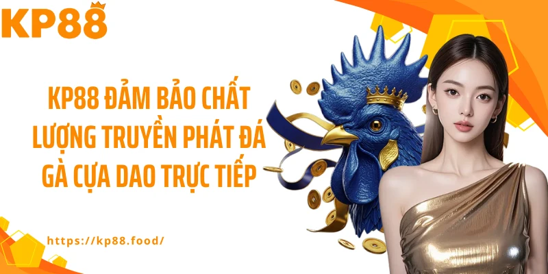 KP88 đảm bảo chất lượng truyền phát đá gà cựa dao trực tiếp