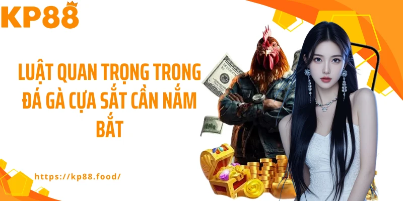 Luật quan trọng trong đá gà cựa sắt cần nắm bắt