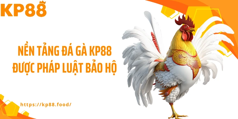 Nền tảng đá gà KP88 được pháp luật bảo hộ