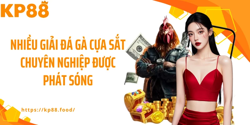 Nhiều giải đá gà cựa sắt chuyên nghiệp được phát sóng