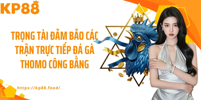 Trọng tài đảm bảo các trận trực tiếp đá gà thomo công bằng