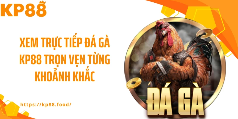 Xem trực tiếp đá gà KP88 trọn vẹn từng khoảnh khắc